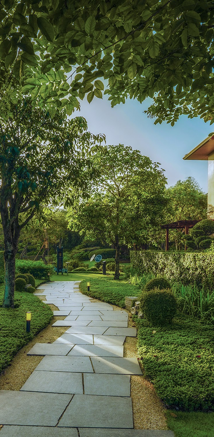 Commitment to Sustainability