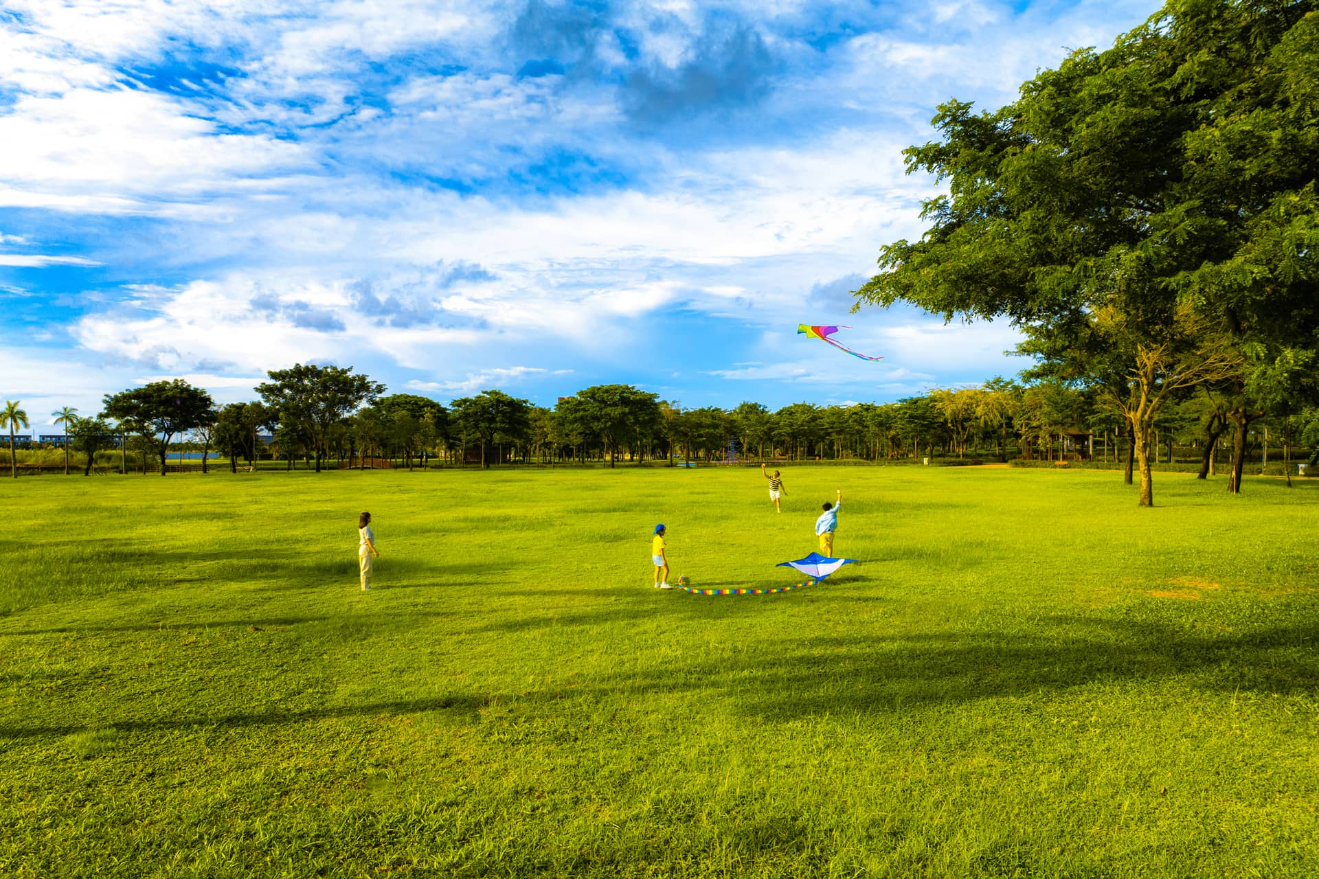 Human Capital Development and Community Engagement